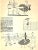 "The New Eve" 1917 Fish For Sale - Image 10 of 10