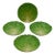 Late 19th Century Eb Napoli Italian Majolica Lettuceware Plates - Set of Four For Sale