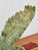Hand-Carved Stylized Eagle in Soapstone For Sale - Image 10 of 12