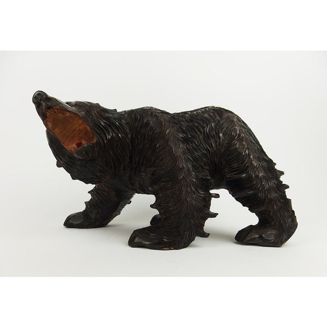 Wooden Ainu bear carved by a craftsman of the indigenous Ainu people living on the island of Hokkaido. Mark under one paw...