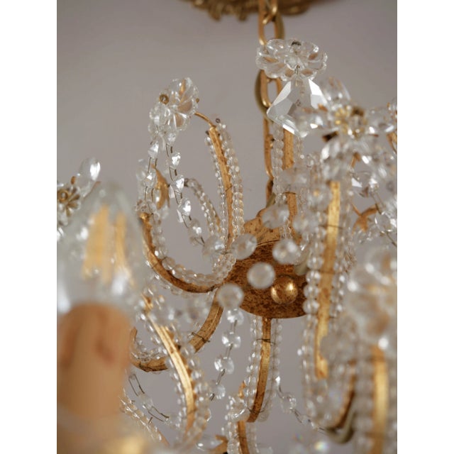 Italian Crystal Chandelier Mechini Firenze For Sale - Image 11 of 16