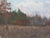 1960s 1960s Impressionism Forest Oil Painting, Ukrainian Artist, 1969 35-48 For Sale - Image 5 of 6