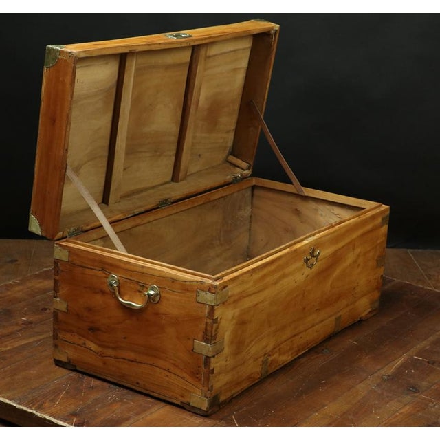 19th Century Camphor and Brass Buffet, 1890s For Sale - Image 5 of 7