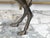 French Turn of the Century Cast Bronze Camel Statuette with Dark Patina, 1900s For Sale - Image 10 of 10