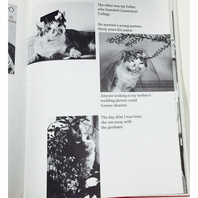 Autobiography of a cat in hindi image