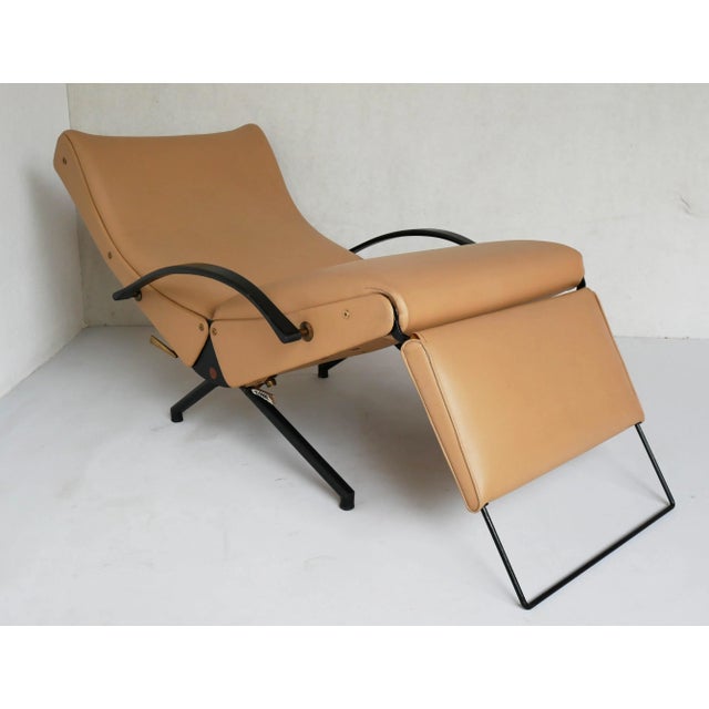 Beige P40 Chair by Osvaldo Borsani for Tecno, 1950s For Sale - Image 8 of 13