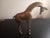 Gold 1970s Solid Hammered Brass Giraffe Figurine For Sale - Image 8 of 8