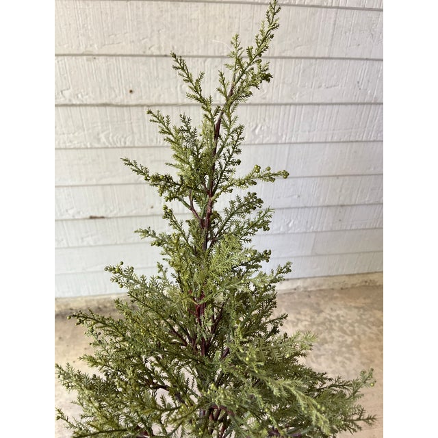 2020s Pottery Barn Faux Artificial Cedar Cypress Evergreen Potted Plant Tree For Sale - Image 5 of 7