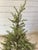 2020s Pottery Barn Faux Artificial Cedar Cypress Evergreen Potted Plant Tree For Sale - Image 5 of 7