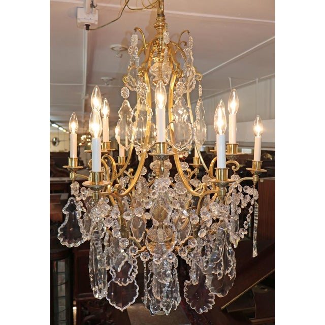 Brass Late 19th Century French Louis XV Style Brass & Crystal 12 Light Cage Chandelier For Sale - Image 8 of 18