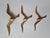 Brass Wall Decor Sculptures of Seagulls, Austria, 1963, Set of 3 For Sale - Image 3 of 14