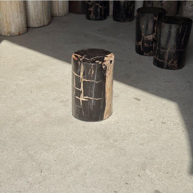 Side Table in Black Petrified Wood with Beige Stripes and Sides For Sale - Image 17 of 18