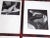 Vintage Andre Kertesz 20th C. Modernist Surreal Female Nude Photogravures - Set of 9 For Sale - Image 4 of 9