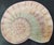Fitz and Floyd Vintage Omnibus Seashell by Fitz and Floyd Dessert Plates- Set of 2 For Sale - Image 4 of 5