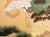 Large 1950s Japanese or Chinoiserie Style Painted Silk Screen For Sale - Image 10 of 17