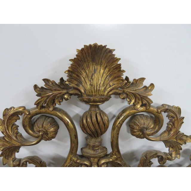 Late 19th Century 19th Century Italian Wood Gold Gilt Carved Mirror For Sale - Image 5 of 7