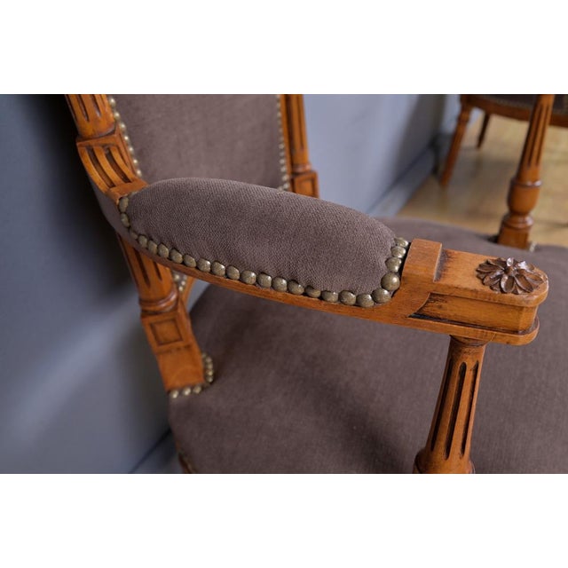 Vintage Louis XVI Style Armchairs in Stained Beech, 1950, Set of 2 For Sale - Image 11 of 18