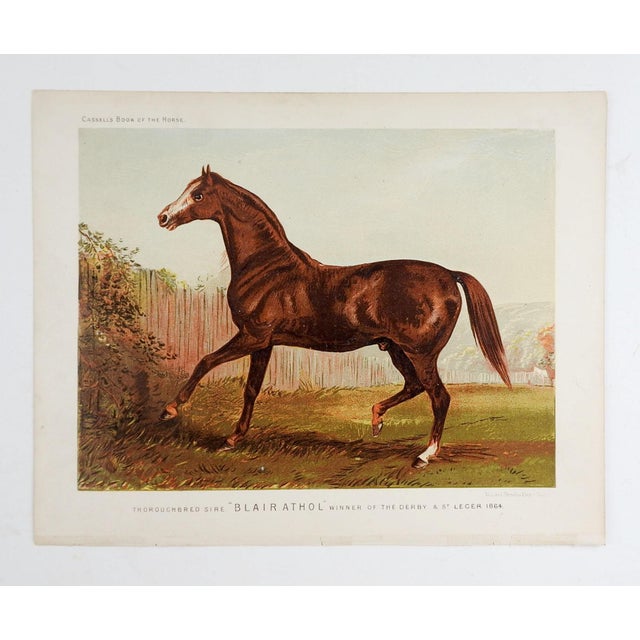 English Late 19th Century British Race Horse Equine Chromolithograph For Sale - Image 3 of 3
