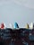 Textile "Regatta" Modern Original Oil Painting, by Jennifer Hohlfelder For Sale - Image 7 of 8