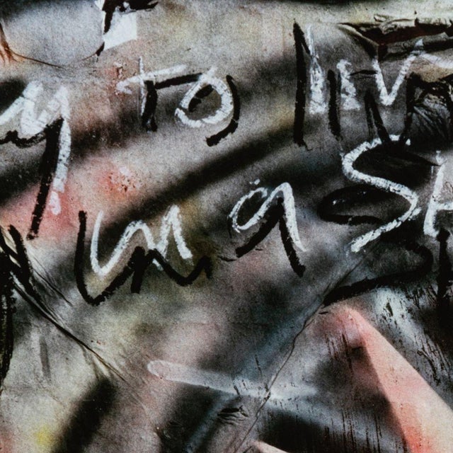 Anne Sager (American, 1930-2024), "Trying to Live in a Shit World", Color Photograph Chromogenic Print on Paper, signed...