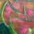 Pink 1980s Byron Gálvez Art Pastel Paper Watermelon Mexico For Sale - Image 8 of 11