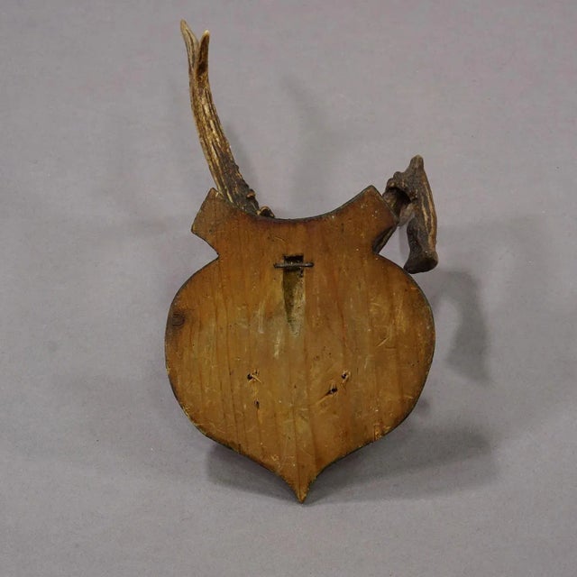 Wood Abnorm Deer Trophy on Turned Plaque, Germany Ca. 1930s For Sale - Image 7 of 7