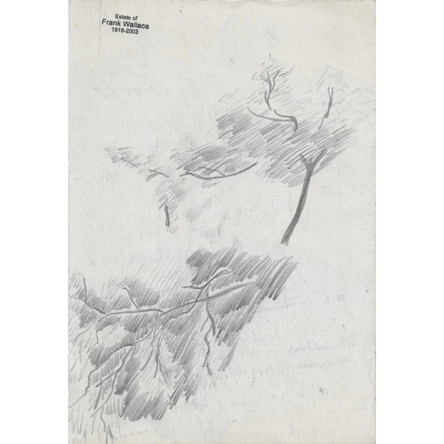 Tree botanical drawing by Vermont artist Frank Wallace (1915/18-2003). Wallace was born in Toledo, Ohio and grew ip in...
