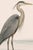 Refined coastal artwork featuring a great blue heron standing in shallow water, rendered with delicate feather detail and...