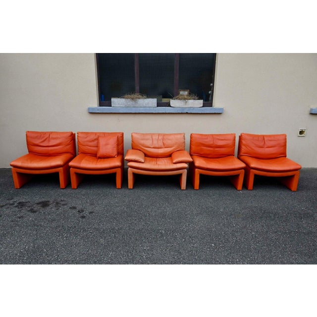 Series 5 Lounge Chairs in Cognac Orange Leather, 1970s, Set of 5 For Sale - Image 6 of 18