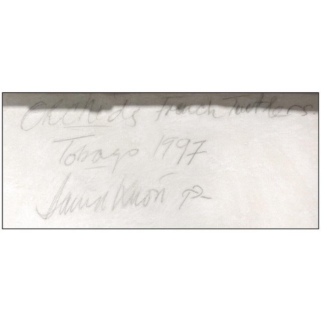 1990s Nurtured Nursery, David Kroll For Sale - Image 4 of 5