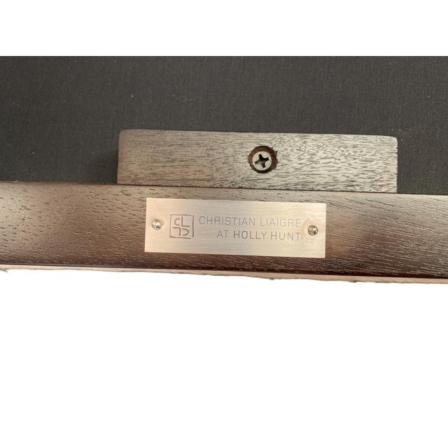 Ebony Christian Liaigre for Holly Hunt Olon Hide Accent Chairs, Pair For Sale - Image 8 of 8