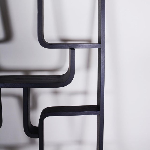 Vintage Room Divider by L. Volak for Drevopodnik Holesov, 1960s For Sale - Image 5 of 15