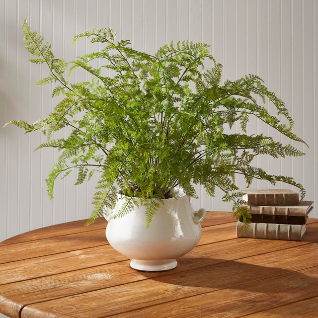 Realism Soft Fern Drop-In 36" For Sale - Image 3 of 5