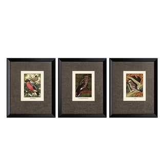 Set of Three Framed Eric Daglish Bird Lithographs From Birds of the British Isles — Jay, Nutcracker & Bullfinch c.1950 For Sale