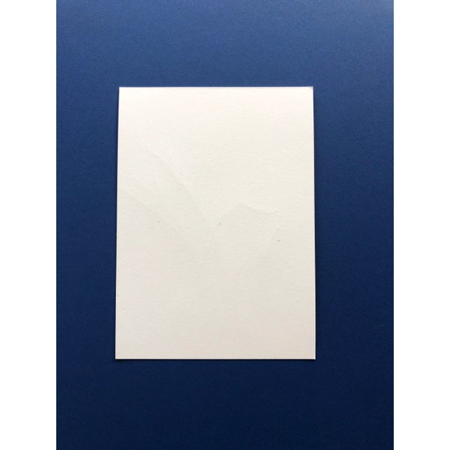 Contemporary “Wild Violet” Contemporary Original Colored Pencil Botanical Drawing by Nancy Smith For Sale - Image 3 of 4