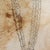 Textile Contemporary Abstract Soil and Charcoal on Canvas "Curiosity" by Paul Landauer For Sale - Image 7 of 8