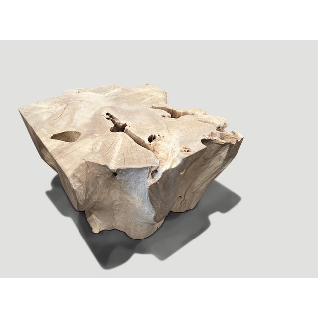 Andrianna Shamaris Bleached Teak Wood Sculptural Coffee Table or Pedestal For Sale - Image 10 of 18
