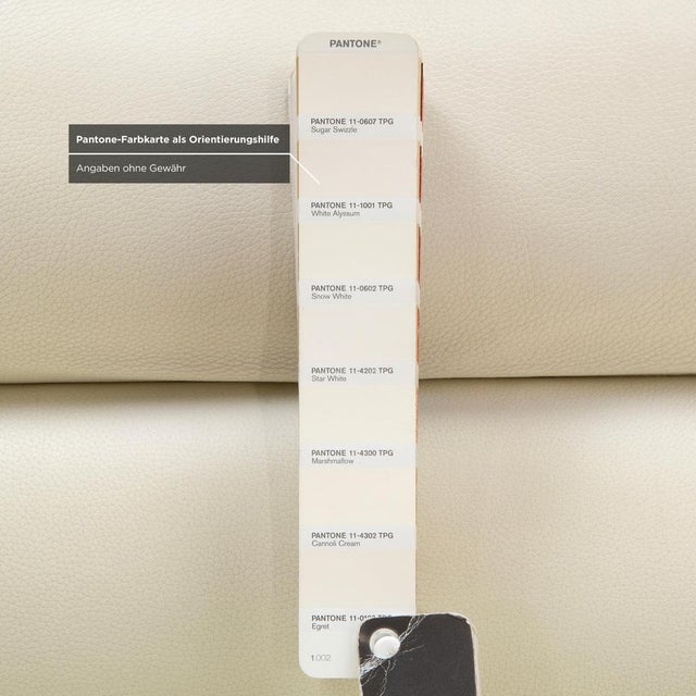 Set of Sinus Leather Cantilever Chair with Ottoman from Cor For Sale - Image 11 of 18