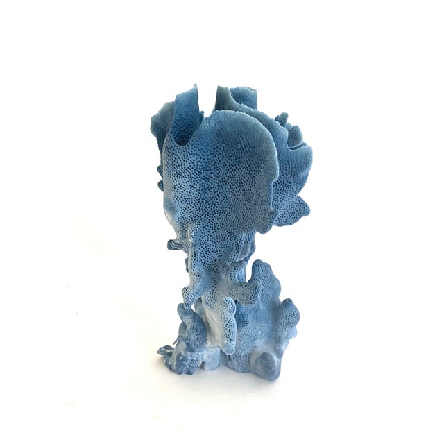 Shell Natural Blue Coral Specimen Coastal Decor For Sale - Image 7 of 7