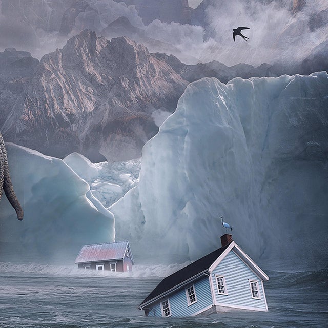 Early 21st Century Shelter - Spirit of the Rhino by Marcin Owczarek | Photography - Dye Sublimation on Aluminum featuring a rhino with animals on its back. For Sale - Image 5 of 5