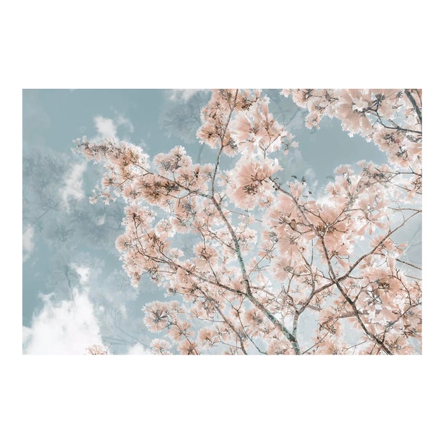 When I Dream of You, 48x32 Contemporary Fine Art Photography by Kristin Hart For Sale