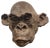 Bonobo Monkey Head Sculpture in Terracotta, 2019 For Sale