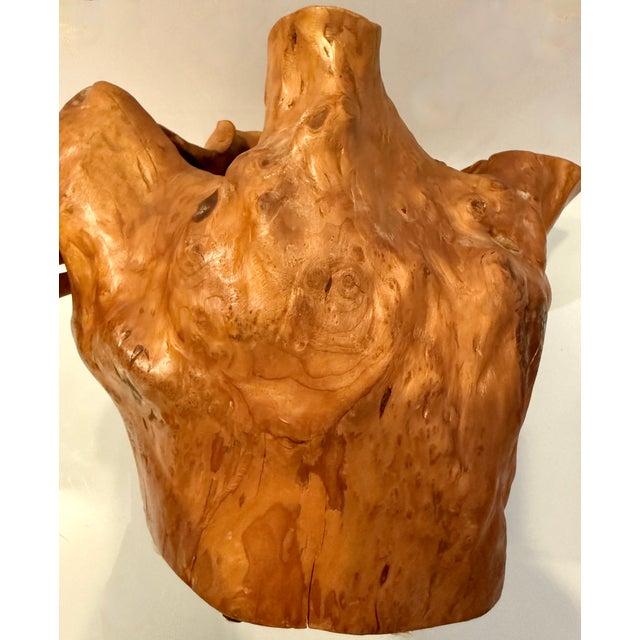Vintage Hand-Carved Burl Wood Sculptural Bowl For Sale - Image 12 of 13