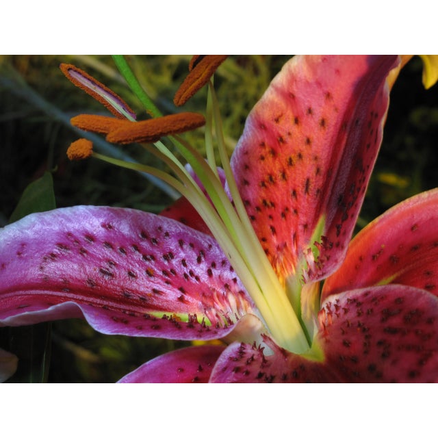 Contemporary Abstract Fine Art Photographic Flower Print For Sale