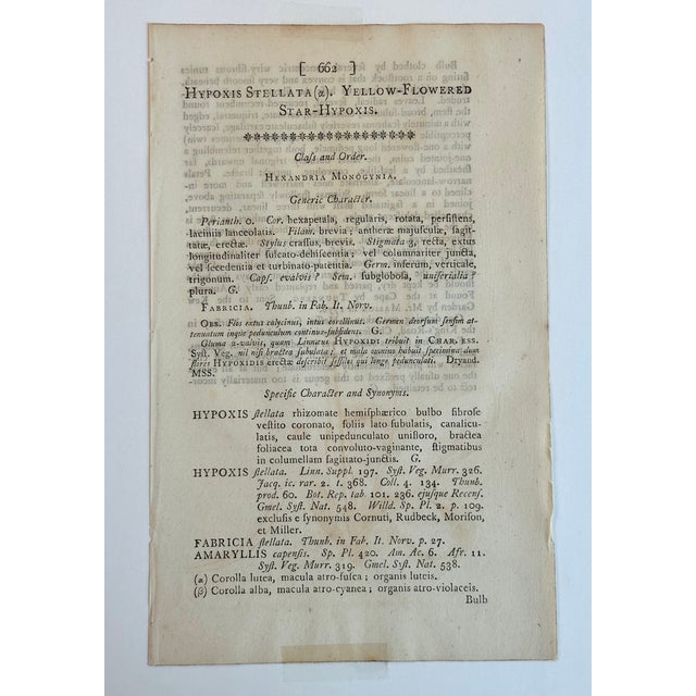 Early 19th Century Antique Yellow Flowered Star Botanical Engraving by Curtis, 1803 For Sale - Image 5 of 5