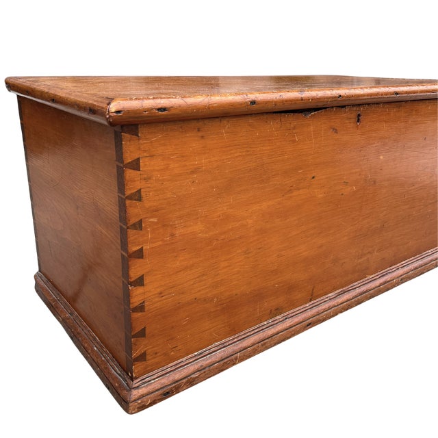 Late 19th Century English Pine Trunk For Sale - Image 4 of 12