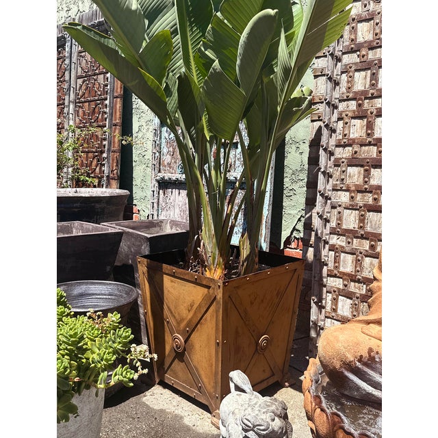 Vintage Iron Rivet Box Planter For Sale - Image 4 of 4