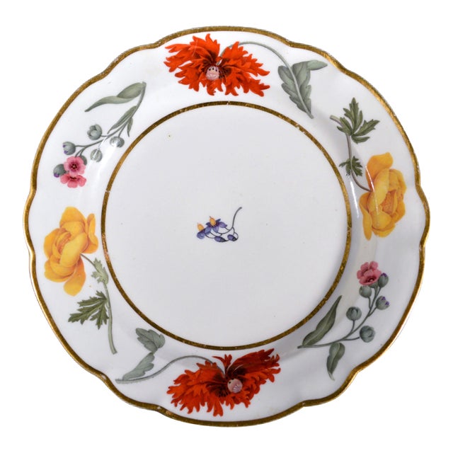 Flight & Barr Worcester Porcelain Botanical Dessert Plate, Circa 1792–1804 For Sale