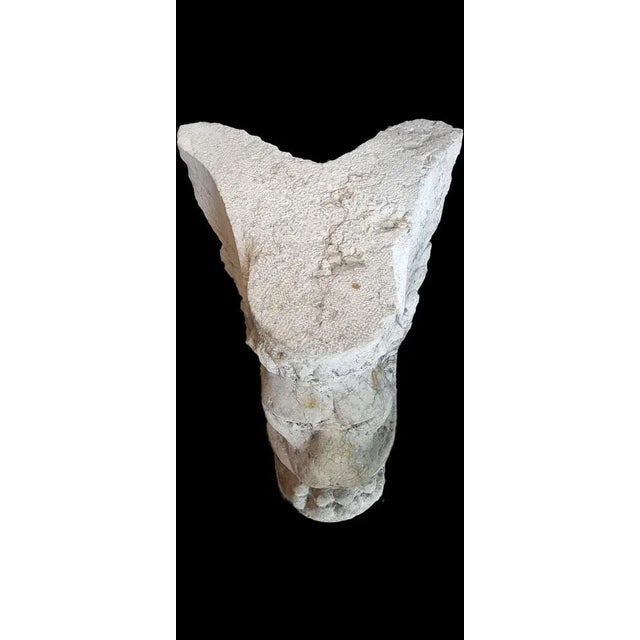 "It is a fragment of sculpture depicting a winged lion, carved in Verona stone, probably dating back to 1500. The lion,...