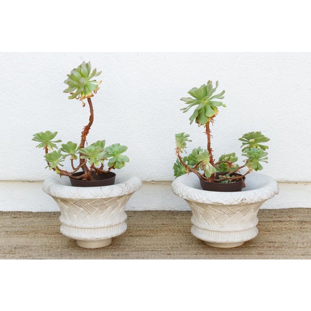 Mid 20th Century Set of Two French Marble Jardinieres For Sale - Image 5 of 9